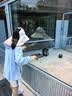 Kocotreekk树儿童防晒帽防紫外线宝宝遮阳帽夏季男童女童太阳帽沙滩大帽檐 实拍图
