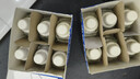 雷达（Raid）电热蚊香液  336晚6瓶装替换装 无加热器无香型 驱蚊液驱蚊用品 实拍图