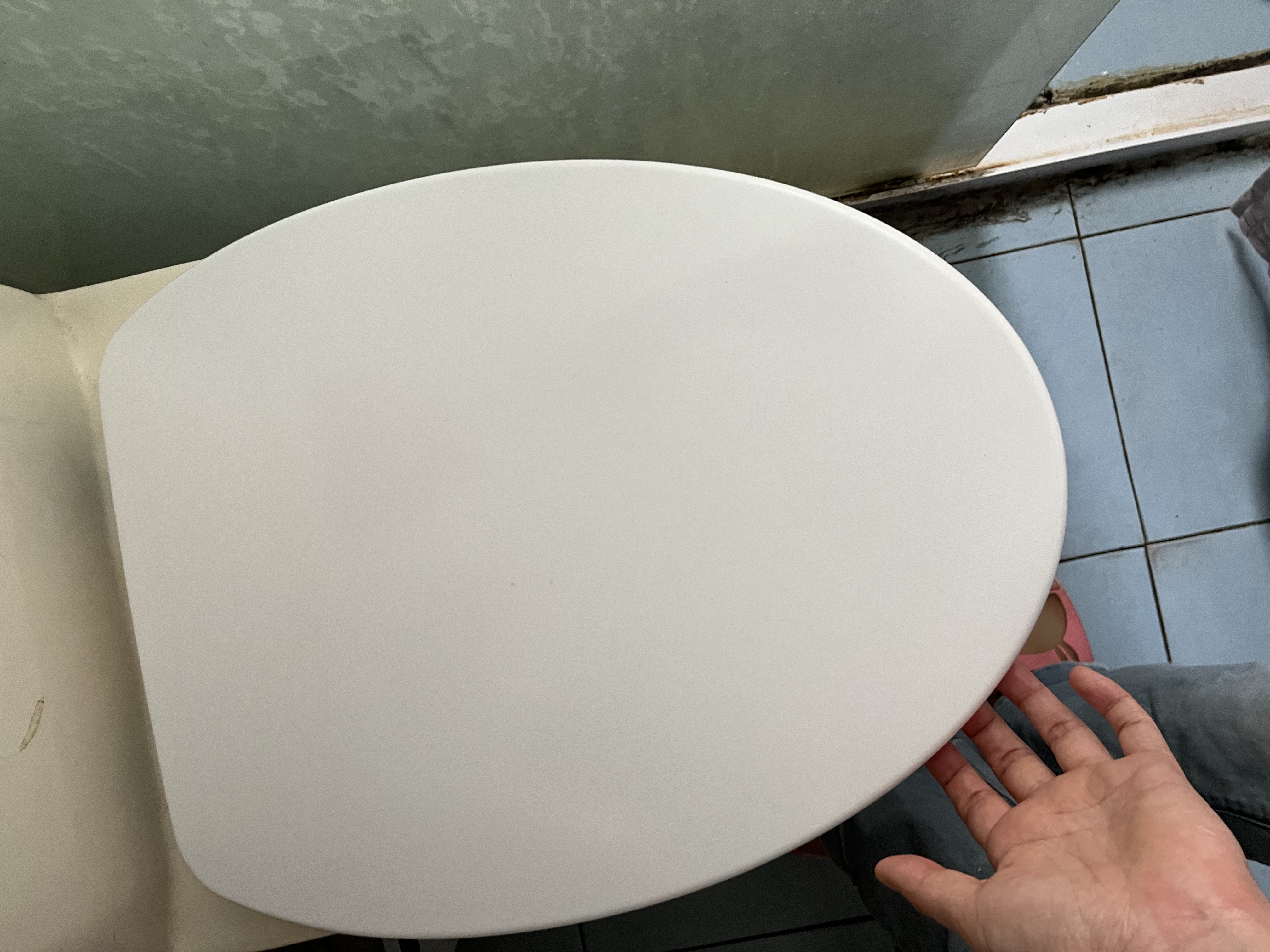 海立马桶盖通用v型u型脲醛加厚老式坐便盖座圈家用马桶圈配件更换818 实拍图