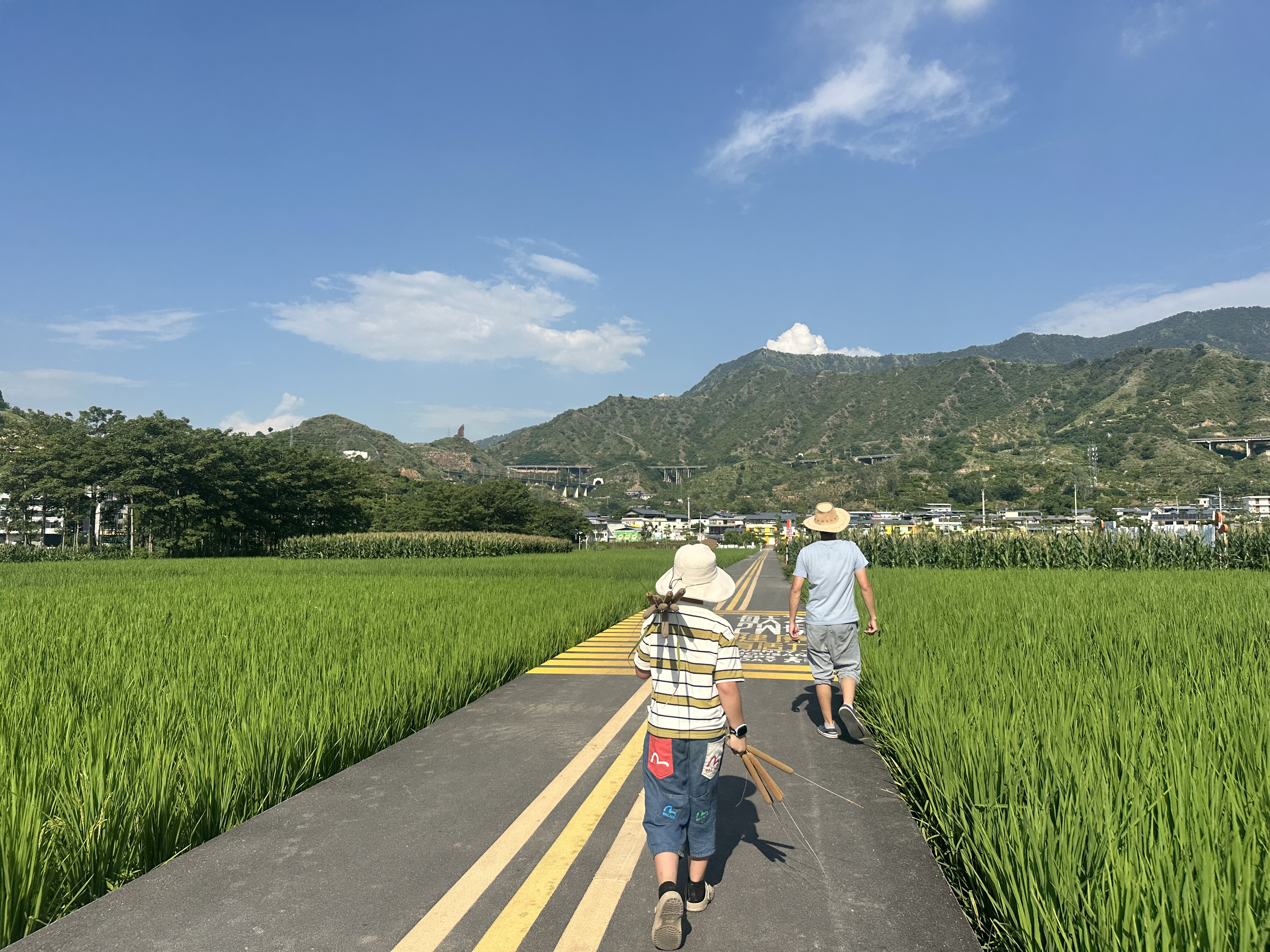 CROCS卡骆驰贝雅儿童洞洞鞋户外包头童鞋沙滩鞋凉鞋拖鞋/207013/207012 卵石色-2V3 35 (215mm) 实拍图