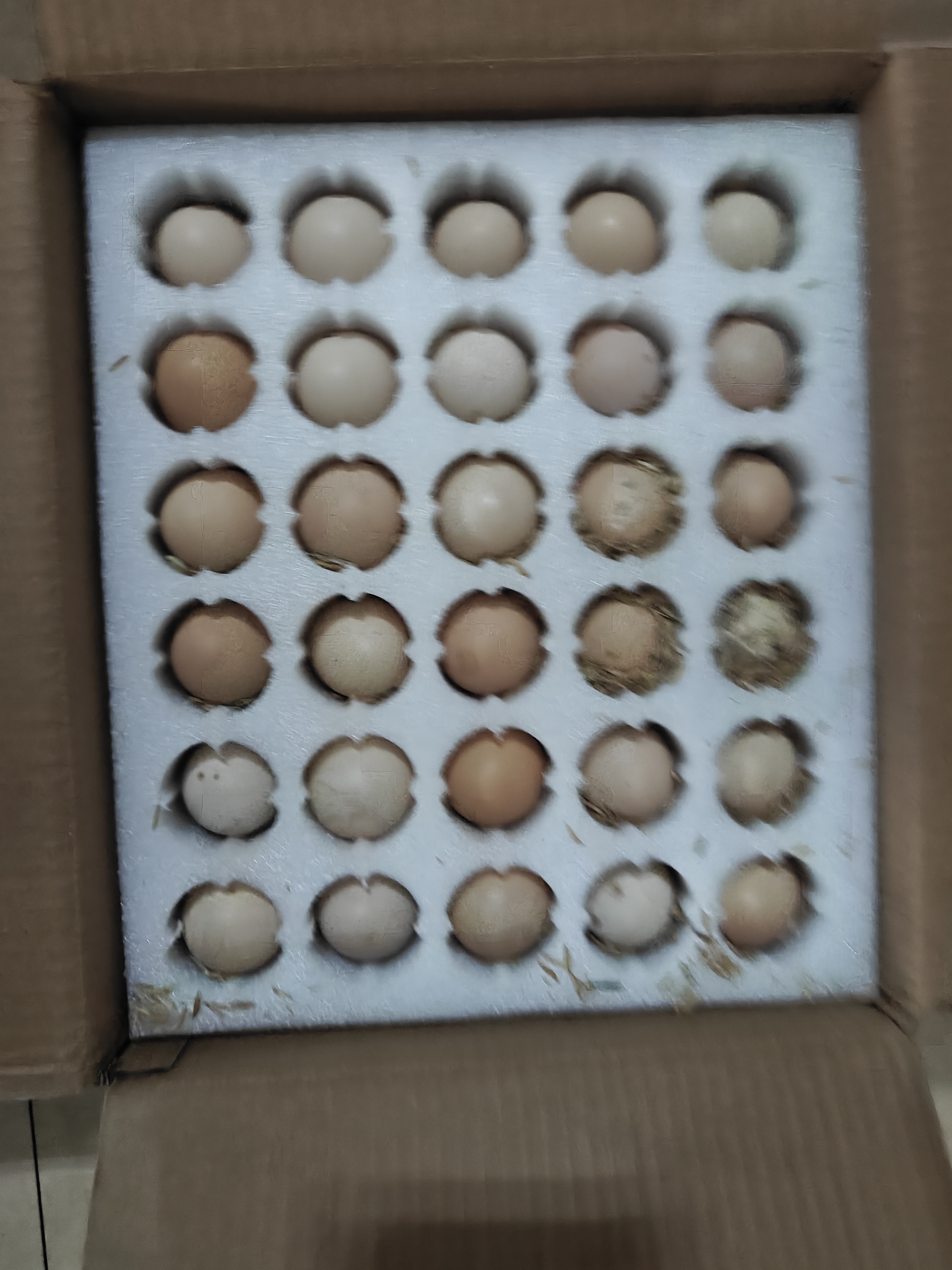 鲜鸡蛋初生蛋月子鸡蛋鲜鸡蛋柴鸡蛋现捡现发月子鸡蛋40-50g±5g 60枚土鸡蛋 实拍图