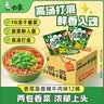 众福缘2个装干发帽女强吸水沐浴帽速干毛巾加厚包头巾长发可爱干发巾 湖蓝+胭红-公主帽 实拍图