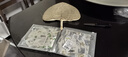 婧麒（JOYNCLEON）宝宝开裆裤薄款婴儿七分裤网眼透气睡裤宽松空调裤 Jkz198933 实拍图