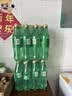 可口可乐（Coca-Cola）雪碧 Sprite 无糖零卡 汽水 含汽饮料 500ml*12瓶 整箱装 实拍图