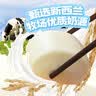 广州酒家早餐食品广式面点 手抓饼包子饺子烧麦虾饺馒头 半成品生鲜食材 牛奶馒头600g（24个装） 实拍图