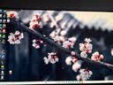 AOC 27英寸4K165Hz Gen.3五层堆叠QD-OLED 第五代BlackAGLR涂层 抗反射抗眩光更黑 电竞显示器U27G4D 实拍图
