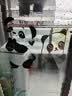 希偌卡通小熊猫玻璃贴纸透明玻璃小心防撞头厨房推拉门提示静电贴装饰 实拍图