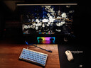 VGN 蜻蜓F1 V5 有线/无线轻量化鼠标 游戏电竞办公长续航对称手型万金油模具 电竞推荐 蜻蜓F1 V5 Turbo+ 白色 实拍图