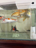 森森 小鲤鱼缸过滤器净水循环三合一内置水族箱过滤系统XQP-500F 6W 实拍图