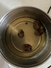 十月稻田 去皮去核灰枣 200g 新疆 软糯香甜 红枣 独立包装 辅食 实拍图
