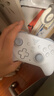 飞智沙漠狐 冰魄蓝 多模版无线游戏手柄 类xbox霍尔扳机switch电脑PC手机steamNS 星露谷物语双影奇境 实拍图