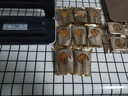 得力真空封口机小型家用腊肉抽真空包装机食品塑封机全自动真空机干湿两用茶叶封口机打包机 爆款升级 实拍图