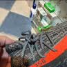 阿迪达斯Yeezy350透气椰子男女休闲鞋HQ7045 42 实拍图