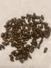 匠界养生茶决明子大分量500g泡水熬夜茶炒熟决明子可搭配菊花茶枸杞 实拍图