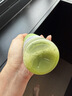 维果清 苦瓜汁 HPP鲜榨蔬菜汁 纯果蔬汁 100%鲜果蔬 冷藏果汁 250ml*4瓶 实拍图