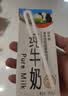 辉山自有牧场纯牛奶250ml*24盒 3.1g乳蛋白 100mg钙  营养牛奶 实拍图