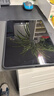 闪魔适用小米平板8/7钢化膜pad8Pro/7Pro通用25/24款11.2英寸全屏秒贴保护高清膜抗指纹保护膜1片+神器 实拍图