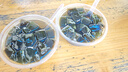 [美宝] 湿润烧伤膏20g/支 实拍图
