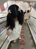 斯凯奇（Skechers）女鞋夏季凉鞋户外透气沙滩鞋复古百搭时尚休闲鞋 实拍图
