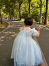 迪士尼艾莎公主裙子女童连衣裙2026夏季新款儿童网纱爱莎演出礼服送礼物 实拍图