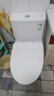 九牧（JOMOO）11173-2-1/31KD-3大力神家用马桶虹吸抗菌节水洁具305坑距 实拍图