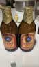 青岛啤酒（TsingTao）金质小棕金低温酿造296ml*6瓶 实拍图
