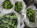 【顺丰】羽衣甘蓝 新鲜沙拉菜 都市健康轻食蔬菜 羽衣甘蓝1000g 实拍图