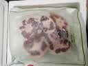 澳纽宝 新西兰草饲原切牛尾骨1斤 炖煮食材 生鲜牛肉 实拍图