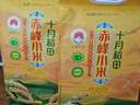 十月稻田 赤峰小米 5斤 内蒙古敖汉 小米黄小米 杂粮米 粗粮 早餐小米粥 实拍图