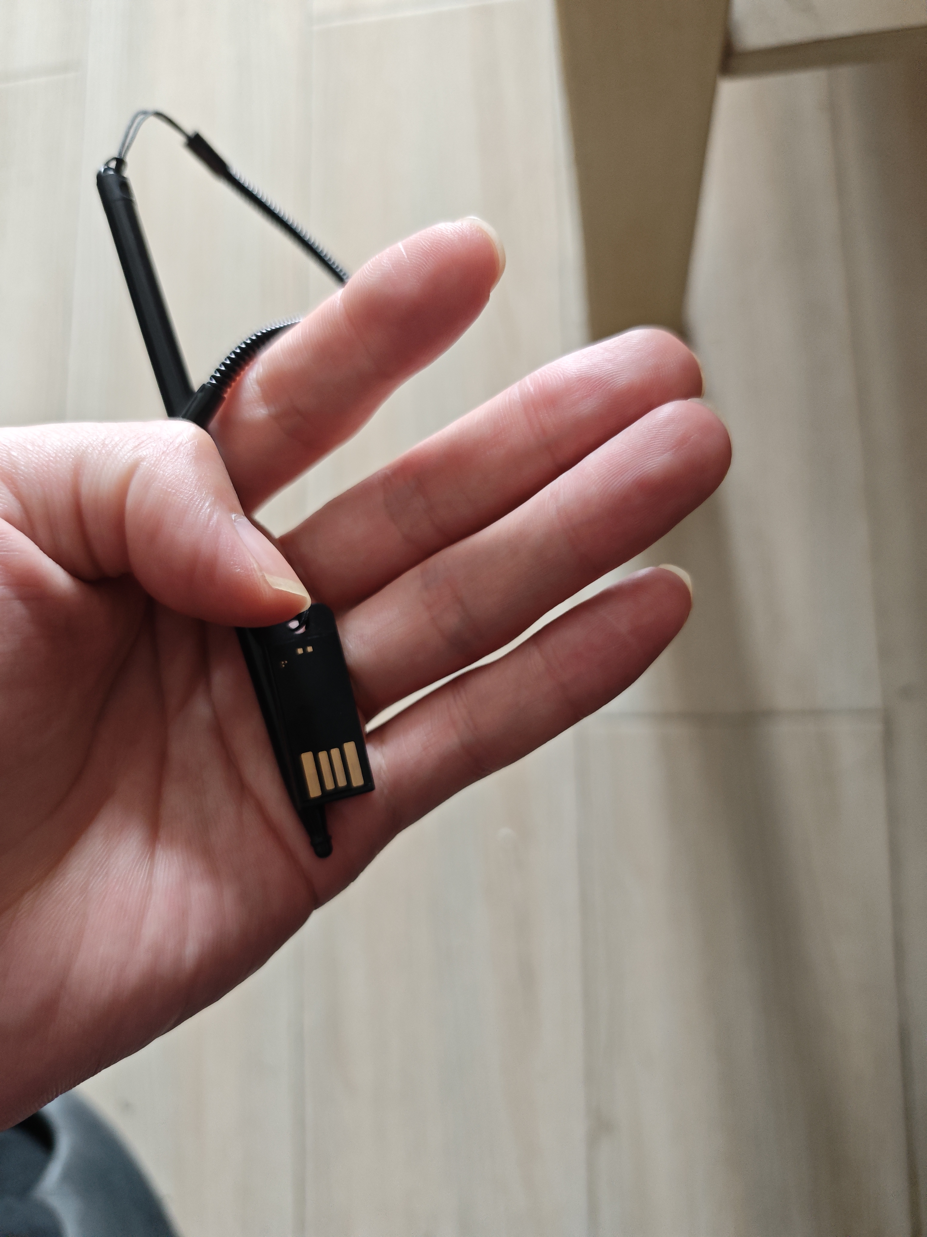 Ecojoy艺享ECOJOY U盘 USB2.0 无铁无磁塑料优盘 超薄迷你 便携 小 车载音箱办公车间隐藏 USB2.0长版有孔黑 16GB 实拍图