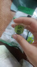 乐天青葡萄糖153g*2韩国进口青提水果硬糖儿童糖果办公室休闲零食 实拍图