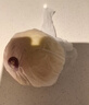 隰(xi)悦【顺丰】隰县玉露香梨当季水果山西隰县小西天特产孕妇水果送礼 9粒大果（净重5-6斤）单果80+mm 实拍图