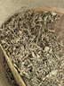 同仁堂品牌 北京同仁堂莓茶50g芽尖莓茶显齿蛇葡萄叶润咙喉咽 高黄酮 实拍图
