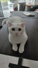 麦富迪猫罐头 barf霸弗主食猫罐头猫咪零食湿粮成幼猫呵护泌尿45g*48罐 实拍图