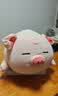 名创优品（MINISO）墩墩鸡dundun可爱毛绒玩偶大号公仔陪伴睡觉搞怪抱枕恶搞生日礼物 小猪B-BO（37*23cm) 见详情 实拍图