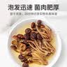 方家铺子 中华老字号 茶树菇220g 蘑菇菌菇食用菌 山珍特产 火锅煲汤材料 实拍图