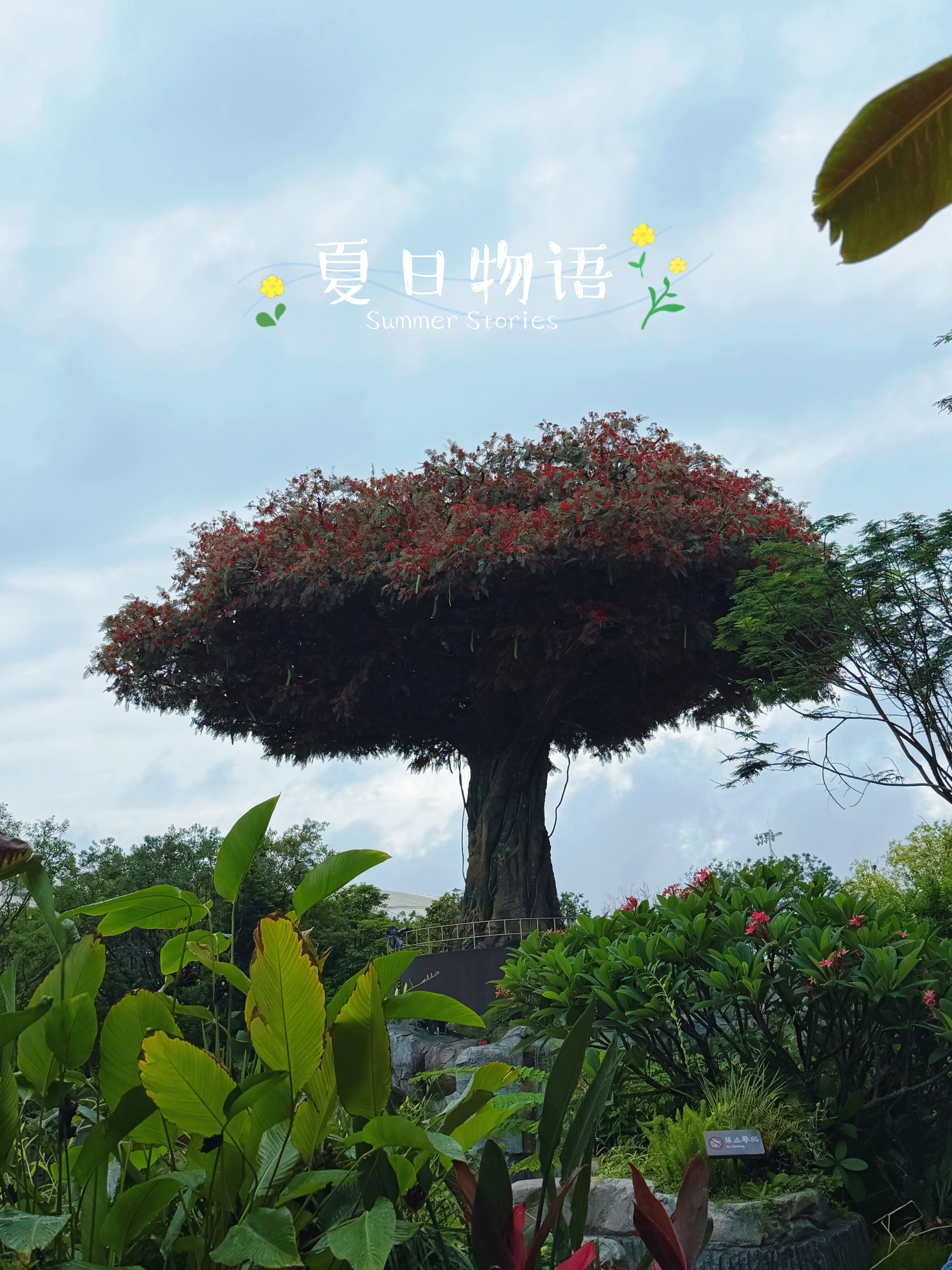 统一 小当家 蜜汁猪排味干脆面 整箱装 （新老包装随机发货） 实拍图