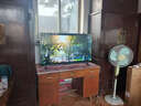 TCL雷鸟电视 50英寸雀4 京东联名款  京东OS系统 低蓝光 无开机广告 足球季专属电视 电视50F195C 实拍图