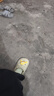 Keep拉筋板拉伸板斜踏板小腿拉筋瘦腿神器美腿中考训练辅助-氧气紫 实拍图