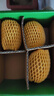 佳沛（zespri）新西兰阳光金果4粒装单果约103-114g 猕猴桃新鲜水果源头直发 实拍图