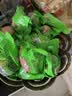 瑾贝13天金凤活珠子五香味50g*20枚新鲜开袋即食加蘸料钢化蛋熟鸡胚蛋 实拍图