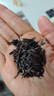 同仁堂品牌红茶茶叶（滇红）云南茶叶自用京东自营3g尝鲜装 实拍图