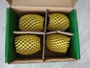 佳沛（zespri）新西兰阳光金果4粒装单果约103-114g 猕猴桃新鲜水果源头直发 实拍图