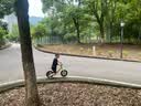 酷骑儿童平衡车1-6岁宝宝滑步车12寸轻便车身初学者S2酷骑绿 酷奇 实拍图