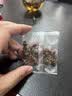 冬海红 昆仑雪菊花胎菊120g 菊花茶新疆特野生地级天山血菊蕾花草养生茶 实拍图