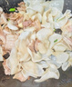 十月稻田白玉木耳 90g 东北特产 菌菇干货 易泡发 火锅煲汤食材 实拍图