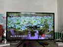 山泽HDMI线2.0版  4K数字高清线1.5米 3D视频线工程级 投影仪笔记本电脑电视机机顶盒数据连接线 15SH8 实拍图