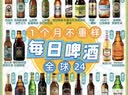 ERGOUPUB全球24精酿啤酒组合白啤/IPA/修道院/黑啤/果啤 比利时/德国/中国 全球精酿-经典版 24瓶 晒单实拍图