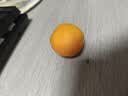 京鲜生 新疆吊干杏 净重1斤 单果12g+ 新鲜应季水果 8分甜2分酸 实拍图
