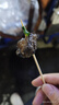 洁丽雅（Grace）洞洞鞋男士夏季户外开车凉鞋沙滩鞋EVA防臭外穿防滑手术室拖鞋男 实拍图